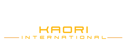 Yellow and White Modern Car Rental Logo (2)